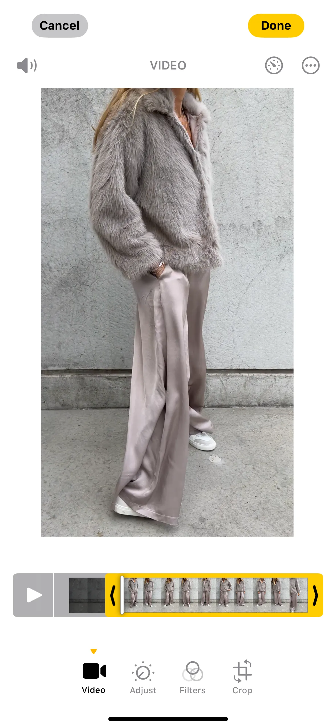 Champagne Silver Radana palazzo pants
