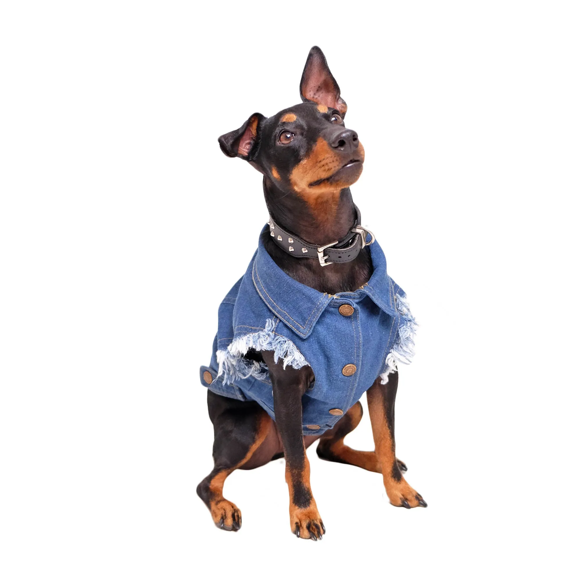 Patched Up Denim Dog Vest