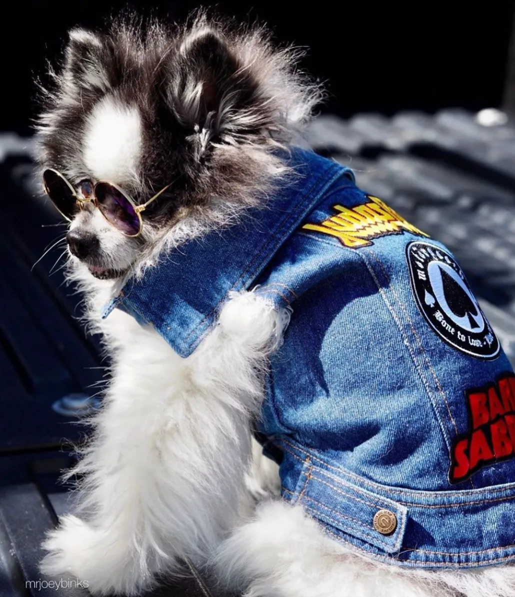 Patched Up Denim Dog Vest