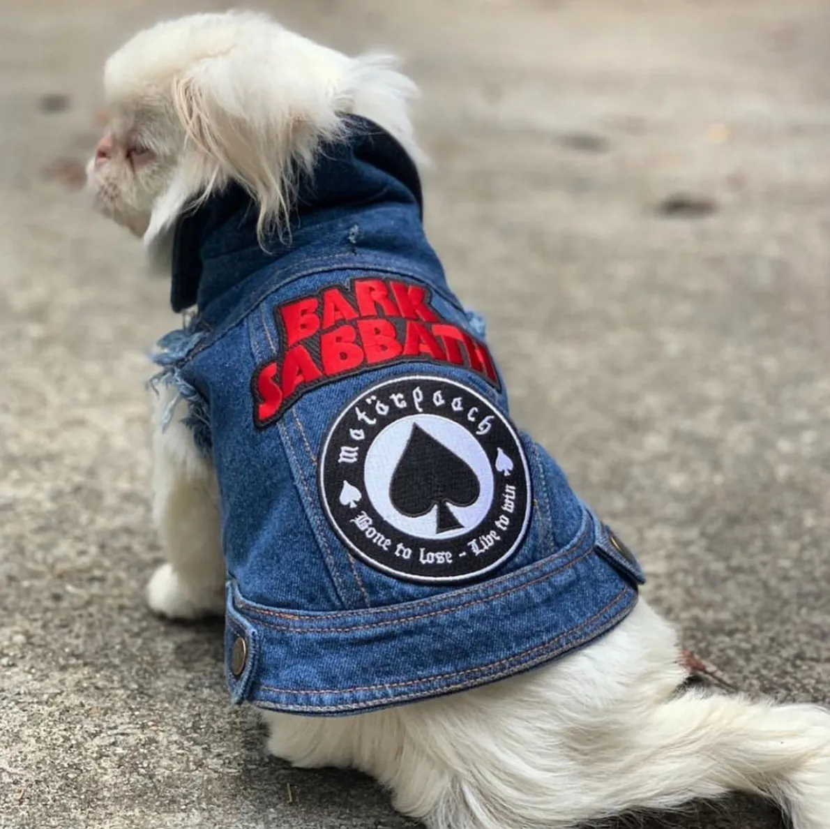 Patched Up Denim Dog Vest