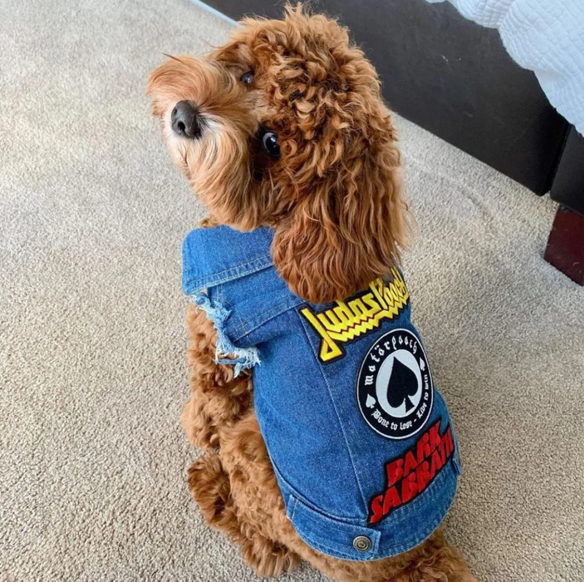 Patched Up Denim Dog Vest