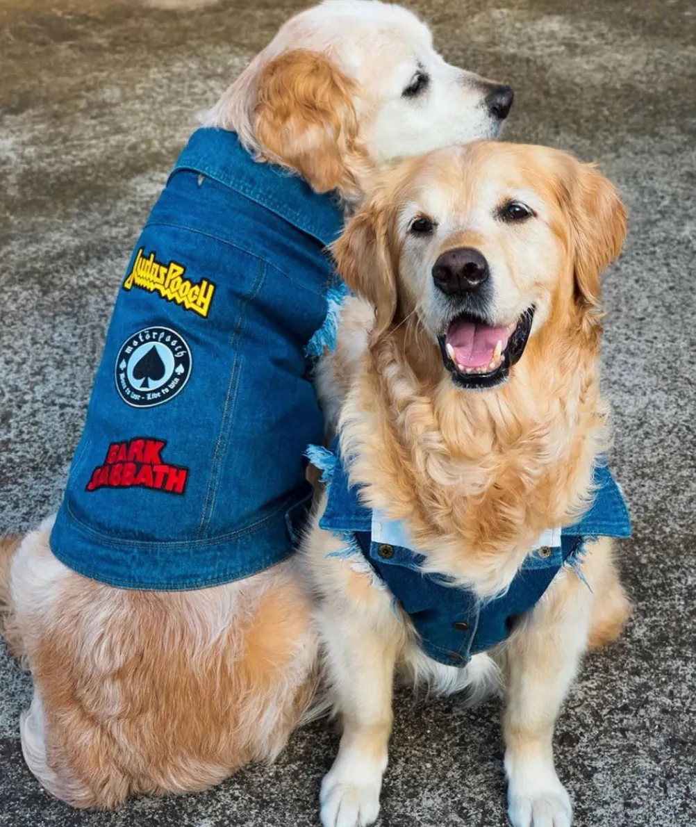 Patched Up Denim Dog Vest