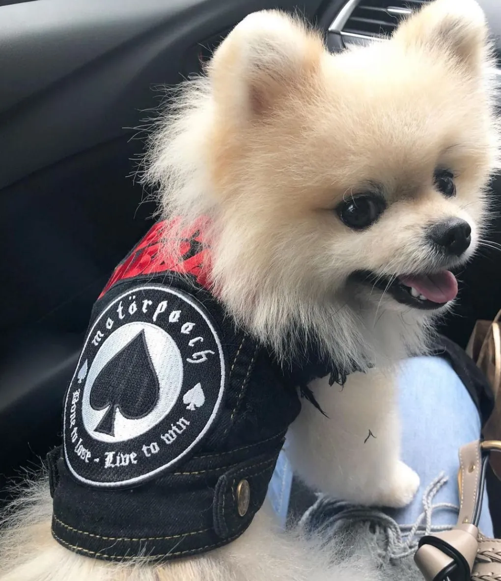 Patched Up Denim Dog Vest